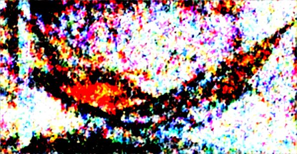 Ajoutez une touche de confort avec nos hamacs sur pied